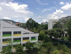 Blk 135 Cashew Road (Bukit Panjang), HDB Executive #556465371